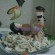 Вкусный салат с кальмарами, яйцом и огурцом - рецепт с фото