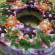Салат "Селедка под шубой" - пошаговый рецепт приготовления с фото